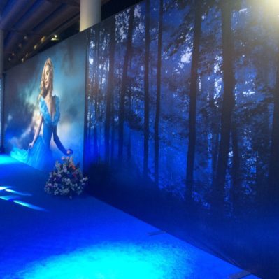 Galería de Impresión en Telas